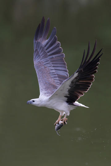 越野自行车挑战