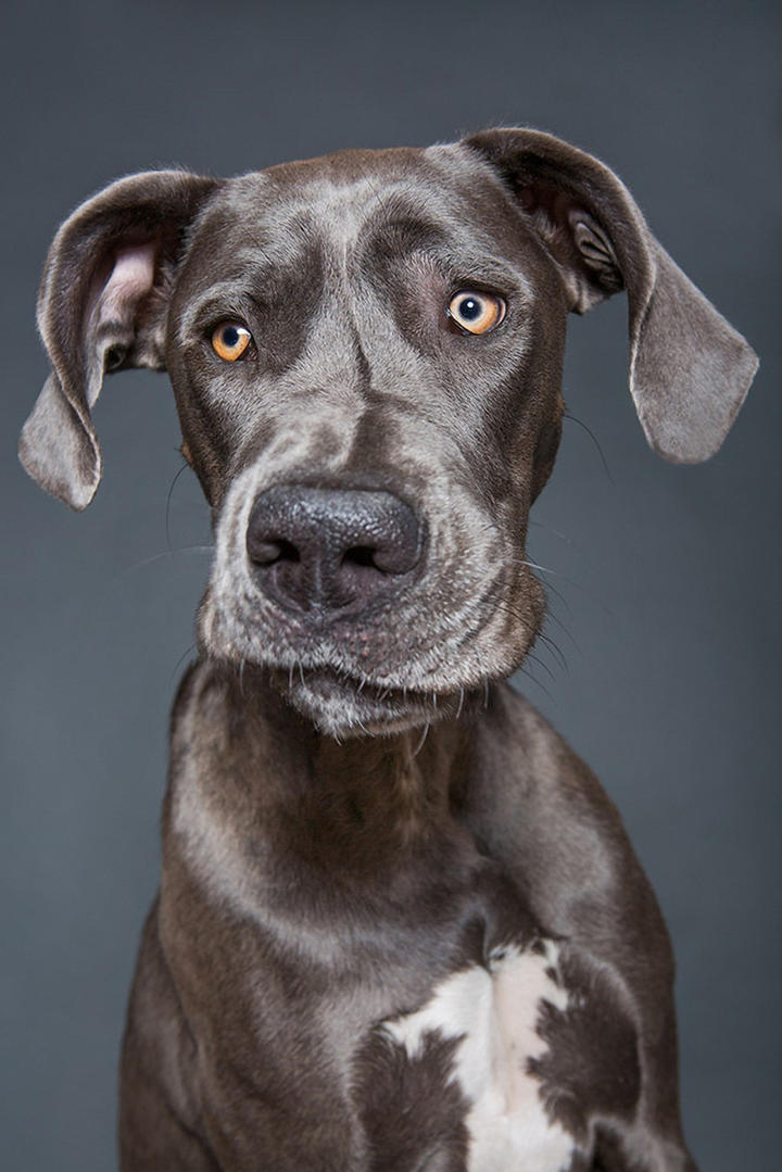 偶像代言单品图鉴